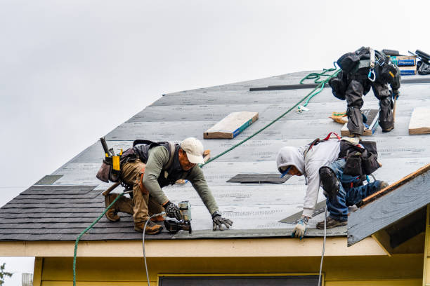 Professional Gutter Installation technician working in Downsville, LA
